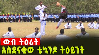 አስደናቂው ቴኳንዶ ትዕይንት The amazing Taekwondo scene