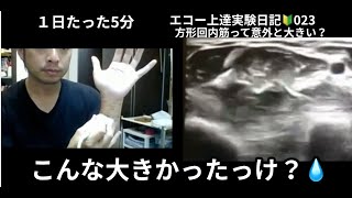 1日たった5分！エコー上達実験日記023　【エコー上達への道】どうやって勉強していったらいいの？【こんなに大きかったっけ？方形回内筋】(＃方形回内筋　＃尺骨神経　＃正中神経　＃浅指屈筋　＃深指屈筋