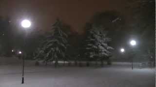 Winter in Burgas - Sea garden 2013