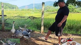 Ngỗng Quê Về Bản – Lòng Dồi, Tiết Canh Đầy Mâm.