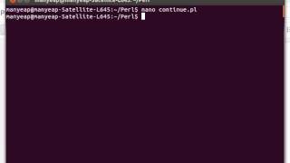 Perl Continue Statement Example