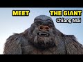 Meet The Giant King Kong Chiang Mai at Huay Tueng Thao Reservoir