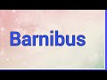 barnabas name origin meaning variations