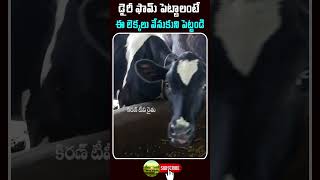 డైరీ ఫామ్ పెట్టాలంటే.. ఈ లెక్కలు వేసుకుని పెట్టండి | Dairy Farm | Kiran TV Rythu #shorts