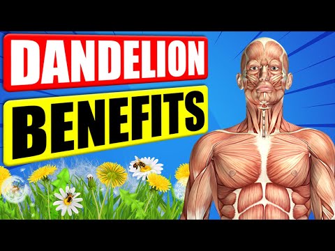 Why are flowers good for you?