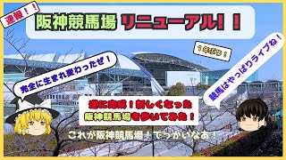 【阪神競馬場リニューアル】新しくなったリニューアル後の場内を歩いてみた！初日から早速の現地レポート！！