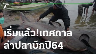 เริ่มแล้ว! เทศกาลล่าปลาบึก ปี 64 เขื่อนแก่งกระจาน | 19-11-64 | ตะลอนข่าว