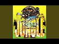 Jungle Move (Remarc Remix)