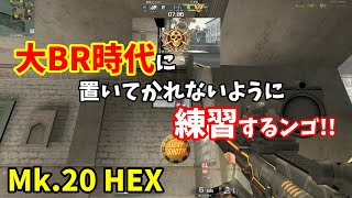 【AVA】瑠己の爆破成長日記season2【Mk.20 HEX】#3