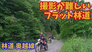 【XTZ125】林道ツー#96「奥越線」Forest Road touring by XTZ125 #96