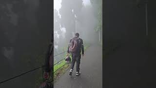 Walking through the foggy lanes of Darjeeling #darjeeling_tour #darjeeling #westbengal #bikeriders