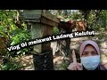 Vlog pergi melawat Ladang Kelulut #Loghat Kelantan