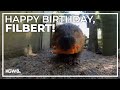 Oregon Zoo's beaver Filbert turns 13