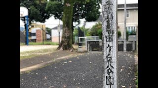 熊本市北区　葉山自由ヶ丘公園　【子どもとのお出かけや公園デビューの参考に】【もっと地域のことを好きになる】