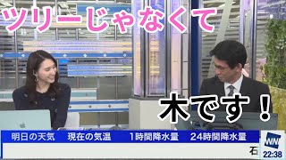 【白井ゆかり×山口剛央】今年の電飾の木について