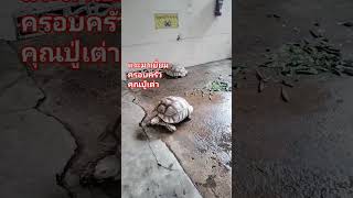 แวะมาเยี่ยมคุณปู่เต่า🐢และครอบครัวของเขา