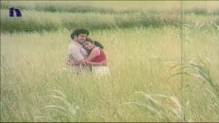 Babai Abbai Full Songs - Telusa Neeku Telusa Song - Balakrishna, Anitha Reddy, Jandhyala