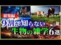 【ゆっくり解説】【総集編】9割の人が知らない「生物の雑学」6選を解説/自己家畜化、草食動物、土、赤潮、他 【作業用】【睡眠用】