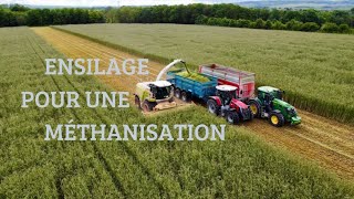 ENSILAGE DE SEIGLE POUR UNE MÉTHANISATION EN MARNE 🌾