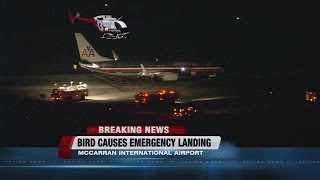 Chopper 13 pilot explains emergency landing at McCarran Airport