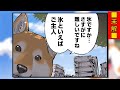 【世界の終わりに柴犬と】切り抜き編集 28《ハルさんの『ご主人ご主人』特集！》【ハルさんの色々な『ご主人！』 を集めました】 世界の終わりに柴犬と 柴犬 アニメ