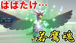 【若鷹魂】驚異の粘りをみせる「ウォーグル」【ポケモンUSUM/ウルトラサン・ウルトラムーン】