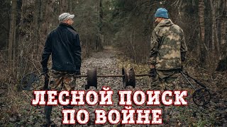 Поиск по войне в лесу. Нашли разбитые немецкие позиции