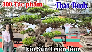 Tin mới tại TL Thái bình ! Hơn 300 TP đã có mặt tại sân trưng bày trong ngày T2 nhận cây