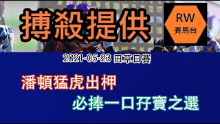 潘頓傷癒猛虎出柙  必捧一口孖寶之選  《RW搏殺提供-黑船》(2021-05-23 沙田草地日賽)