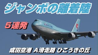 【4K】成田空港 ひこうきの丘 空港に離着陸する飛行機５連発