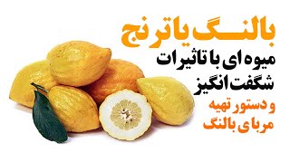 بالنگ یا ترنج میوه ای با تاثیرات شگفت انگیز