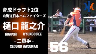 【北海道日本ハムファイターズ育成2位】BCリーグ1の和製大砲！新潟アルビレックスBC樋口龍之介