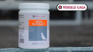 Care  racing pigeons with bath salt