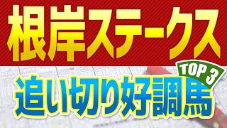 【根岸ステークス2022】追い切りが絶好調だった「トップ３」はこの馬だ🐴【根岸S予想】