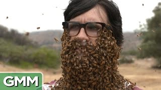 10,000 Bee Beard