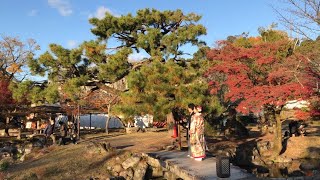 21年11月28日 ゆっくりと午後の京都を歩く 知恩院,円山公園,八坂神社,巽橋,新橋通,祇園 Walk around Kyoto city,Japan vlog