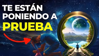 ❤️ Cómo te prueba el universo antes de que cambie tu realidad