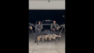 Epic 5 coyote night, thermal coyote hunting.