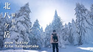 【雪山】北八ヶ岳の絶景ハイク 北横岳もいいけど縞枯山も最高でした