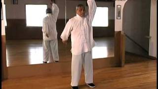 Yang Taijiquan - Part 1