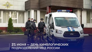 Кинологической службе МВД России исполнилось 113 лет