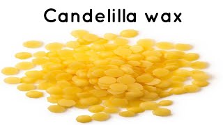 Candelilla wax