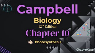 Photosynthesis Explained in 10 Minutes | Campbell Biology Chapter 10