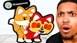 Shappysway Wtf Is This