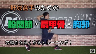 【野球選手必見】股関節・肩甲骨・胸郭の動きを良くするトレーニングをご紹介