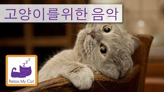 당신의 고양이를위한 휴식 음악 - ㄱ 고양이의 귀를 통해 음악!