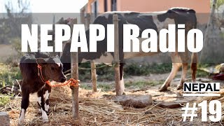 NEPAPI Radio「ドラえもんと忍者ハットリくんが有名？！ネパール人の日本感」【#019】