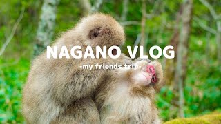 【short VLOG】2泊3日の長野旅行🚗　善光寺/御開帳/上高地/松本城/諏訪湖