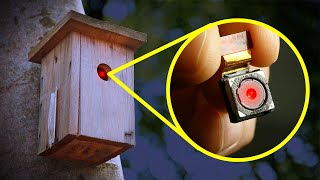 How Many Hidden Cameras Are Watching You Right Now?