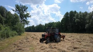 Massey Ferguson 255 | Przetrząsaczo zgrabiarka pasowa | Przewracanie siana